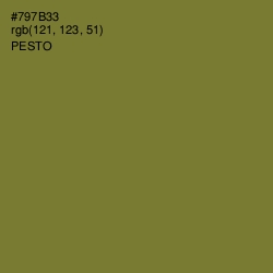 #797B33 - Pesto Color Image