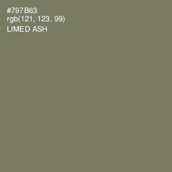 #797B63 - Limed Ash Color Image
