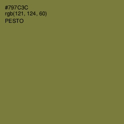 #797C3C - Pesto Color Image