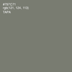#797C71 - Tapa Color Image