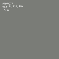 #797C77 - Tapa Color Image