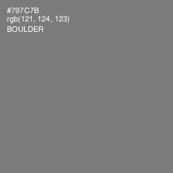 #797C7B - Boulder Color Image