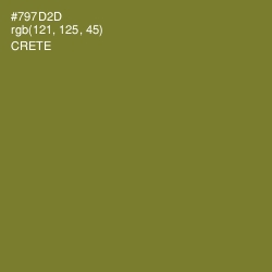 #797D2D - Crete Color Image
