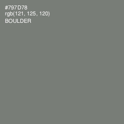 #797D78 - Boulder Color Image