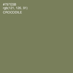 #797E5B - Crocodile Color Image