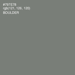 #797E78 - Boulder Color Image