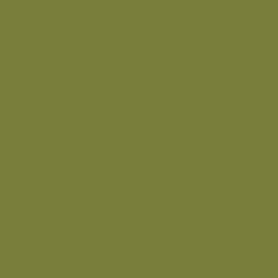#797F3B - Pesto Color Image