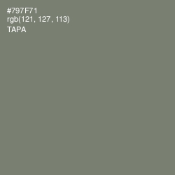 #797F71 - Tapa Color Image