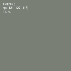 #797F75 - Tapa Color Image