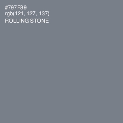 #797F89 - Rolling Stone Color Image