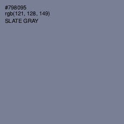 #798095 - Slate Gray Color Image