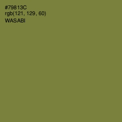 #79813C - Wasabi Color Image