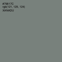 #79817C - Xanadu Color Image