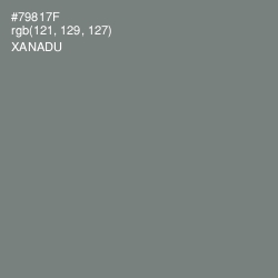 #79817F - Xanadu Color Image