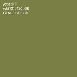 #798244 - Glade Green Color Image