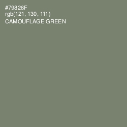 #79826F - Camouflage Green Color Image