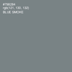 #798284 - Blue Smoke Color Image
