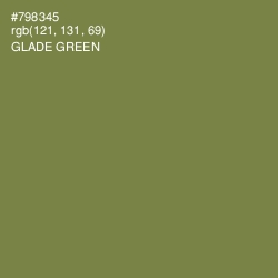 #798345 - Glade Green Color Image