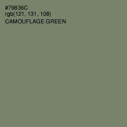 #79836C - Camouflage Green Color Image