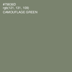 #79836D - Camouflage Green Color Image