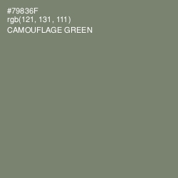 #79836F - Camouflage Green Color Image