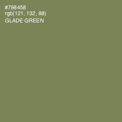 #798458 - Glade Green Color Image