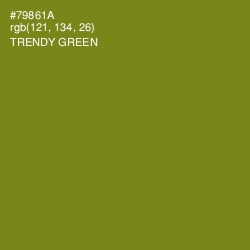 #79861A - Trendy Green Color Image
