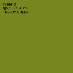 #79861D - Trendy Green Color Image