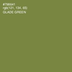 #798641 - Glade Green Color Image