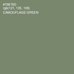 #79876D - Camouflage Green Color Image