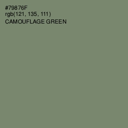 #79876F - Camouflage Green Color Image