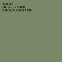 #798967 - Camouflage Green Color Image
