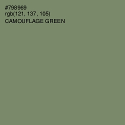 #798969 - Camouflage Green Color Image