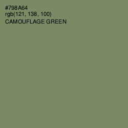 #798A64 - Camouflage Green Color Image