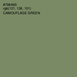 #798A65 - Camouflage Green Color Image