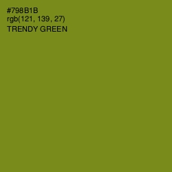 #798B1B - Trendy Green Color Image