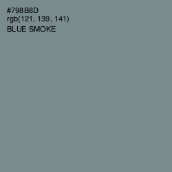 #798B8D - Blue Smoke Color Image