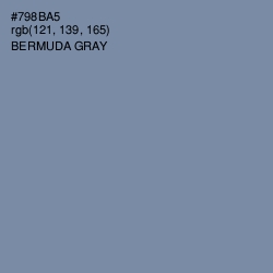 #798BA5 - Bermuda Gray Color Image