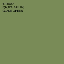 #798C57 - Glade Green Color Image