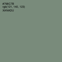 #798C7B - Xanadu Color Image