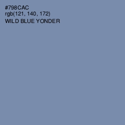 #798CAC - Wild Blue Yonder Color Image