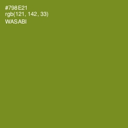 #798E21 - Wasabi Color Image