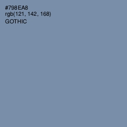 #798EA8 - Gothic Color Image