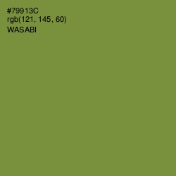#79913C - Wasabi Color Image