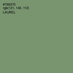 #799570 - Laurel Color Image