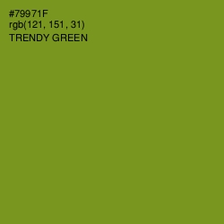 #79971F - Trendy Green Color Image