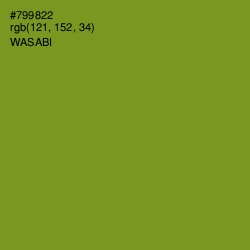 #799822 - Wasabi Color Image