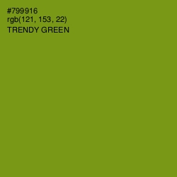 #799916 - Trendy Green Color Image