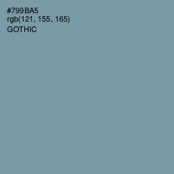 #799BA5 - Gothic Color Image