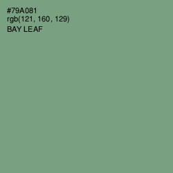 #79A081 - Bay Leaf Color Image